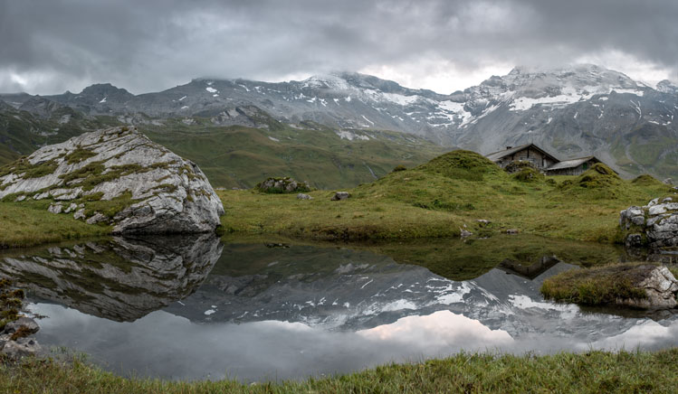 Novoflex Panoramakurs